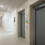 Lägenhet Xenia Tirana